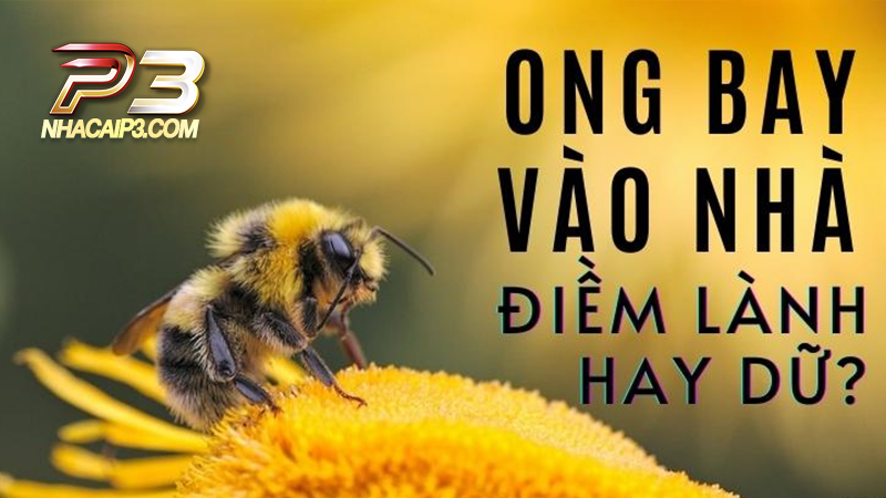 Mơ thấy ong là báo hiệu điềm gì?